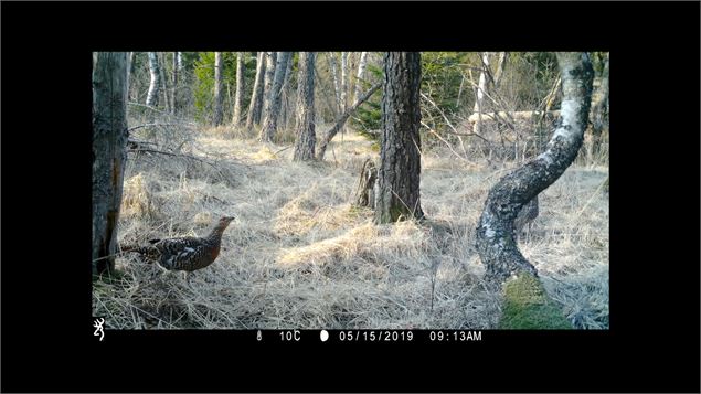 Extrait du film En un battement d'ailes - Kevin Moisseron