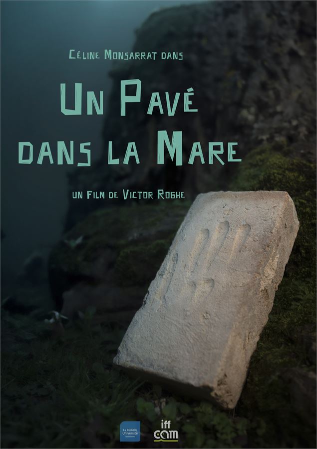 Affiche du film Un pavé dans la mare - Kevin Moisseron