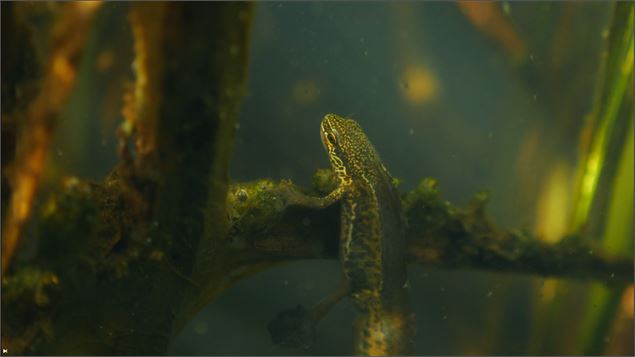 Extrait du film Un pavé dans la mare - Kevin Moisseron