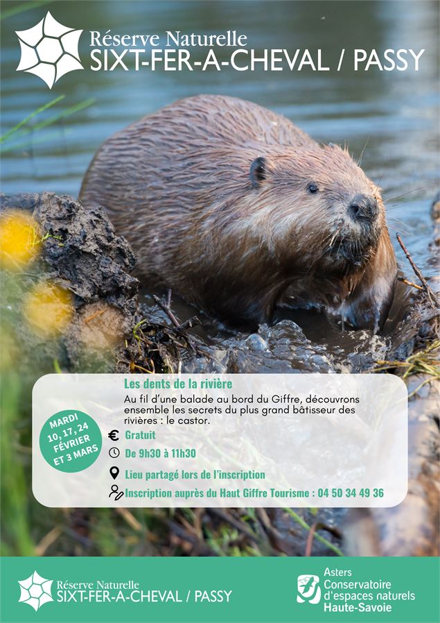 Les dents de la rivière_Morillon - Défi du Lac Bleu