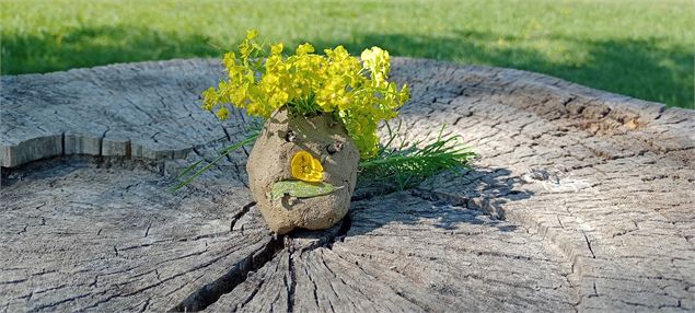 Un animal imaginaire - Terre de Graines - Romain Dufayard