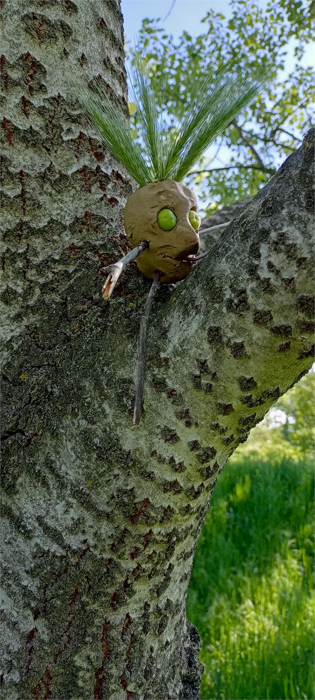 Un animal imaginaire - Terre de Graines - Romain Dufayard