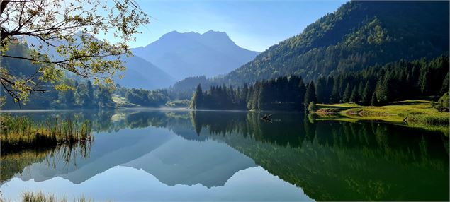 Les Apér'o Lac - Découverte Gourmande du Joyau de la Belle Vallée_Bellevaux - Emilie Meynet