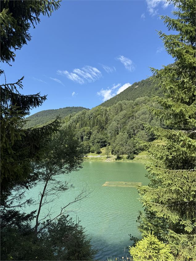 Fondations d'une ferme au fond du lac - Emilie Meynet