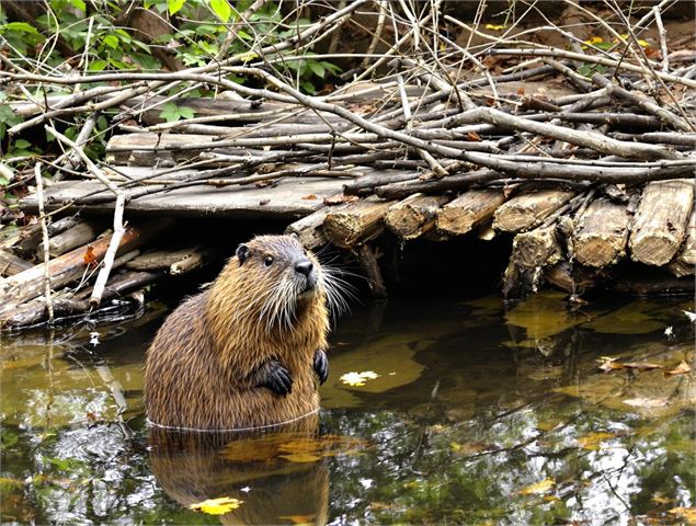 Visite du lac Neyton