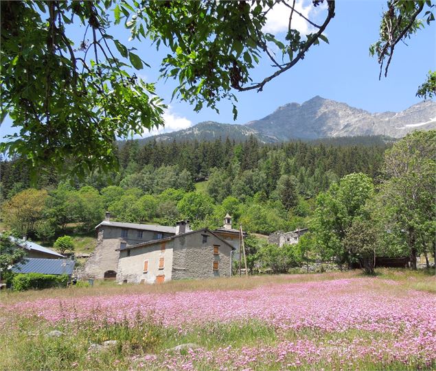 Le hameau de Pralognan - D.Benard