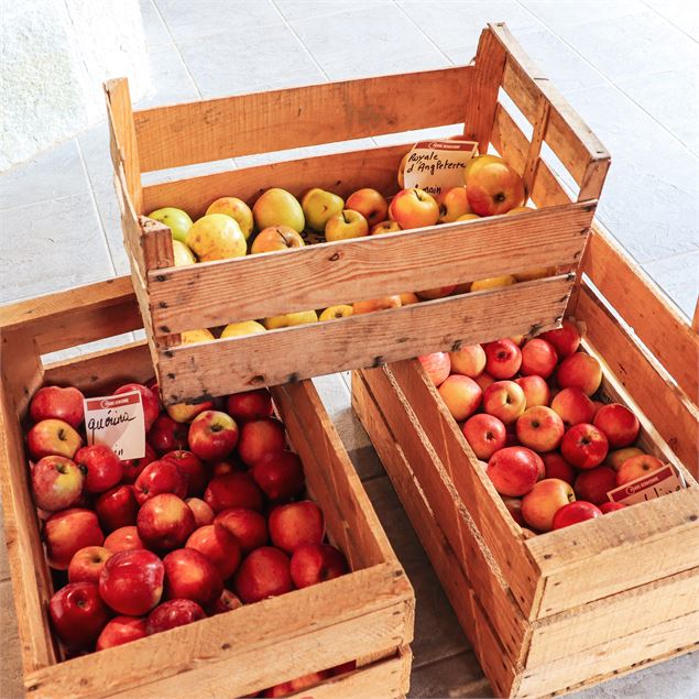 Cagettes de pommes - Sarah Goudeau
