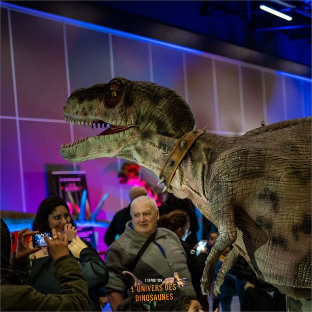 Super héros & dinosaures expo - Robba