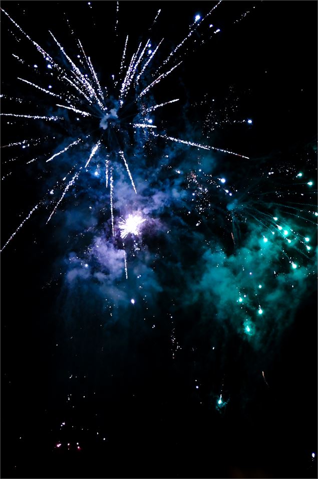 Feu artifice - Elsa Tomasson
