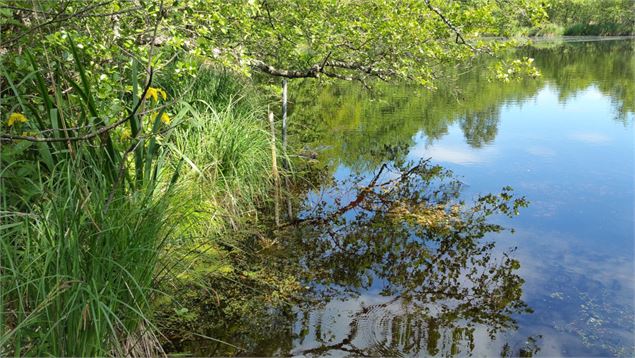 Etang de Bizadan - ©OTGBA - B.C.