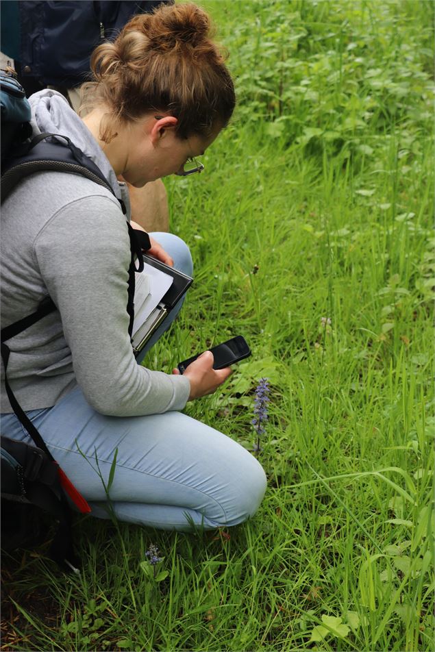 Randonnée dans deux zones humides bressanes_Saint-Étienne-du-Bois - ©OTGBA - B.C.