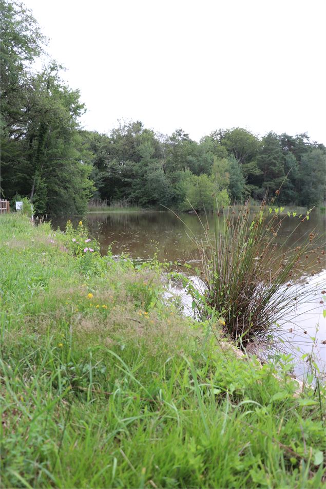 Etang de But - ©OTGBA - B.C.