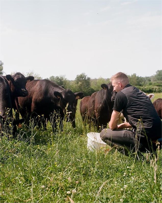 Au pré2 - ©J. Curt