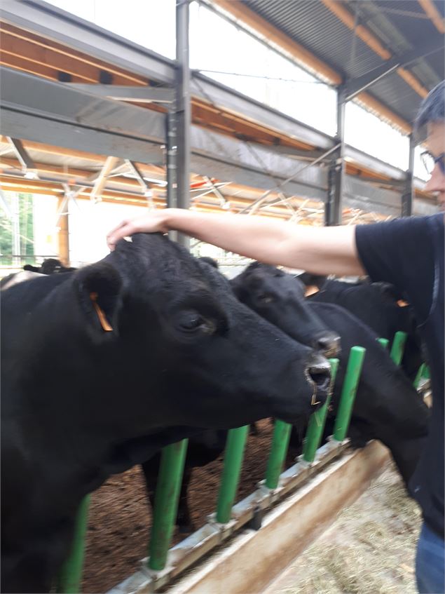 Ferme du Trèfle, les coulisses de l'innovation_Vandeins - ©J. Curt