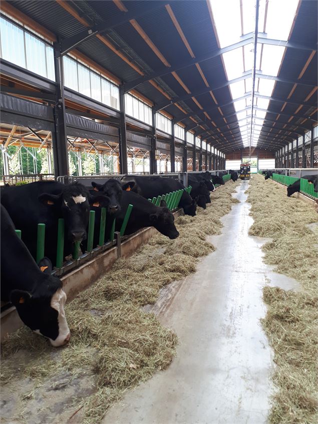 Ferme du Trèfle, les coulisses de l'innovation_Vandeins - ©J. Curt