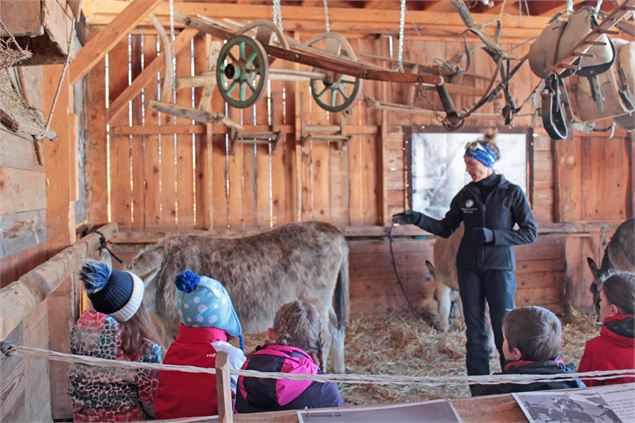 Portes ouvertes de l'asinerie - ferme des ânes