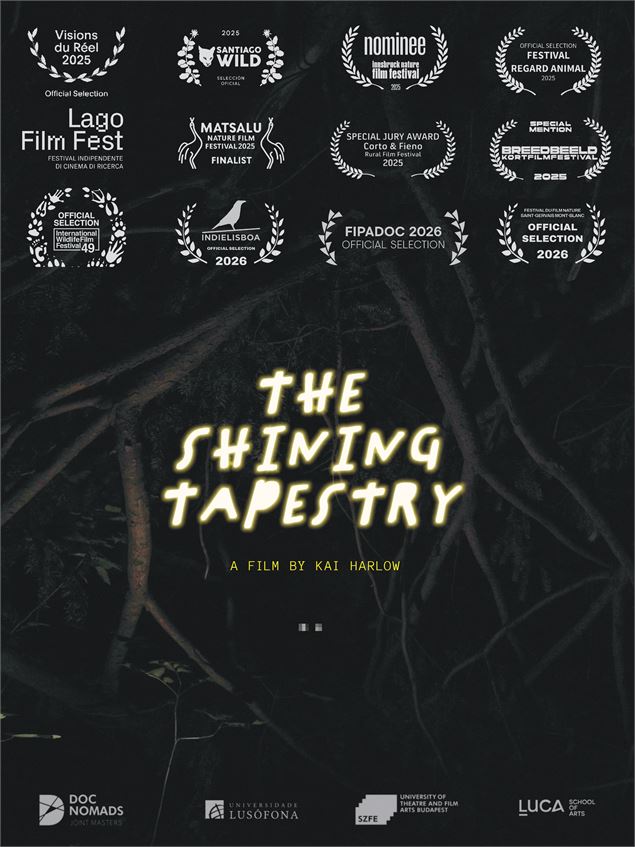 Affiche du film The Shining Tapestry