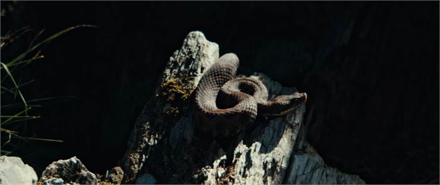 Extrait du film Aspis - Kévin Moisseron / Boris Molinier