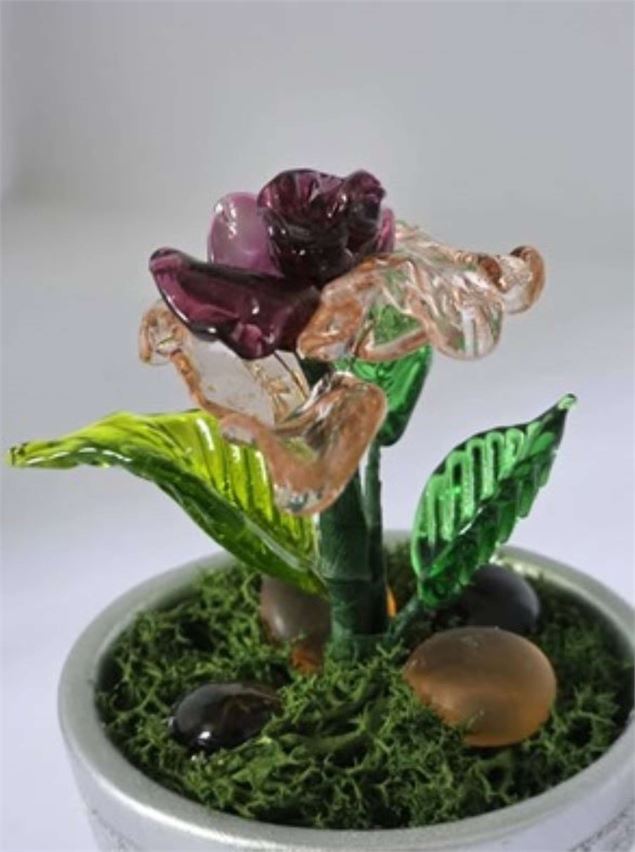 A tra'verre - Benghozi Bernard