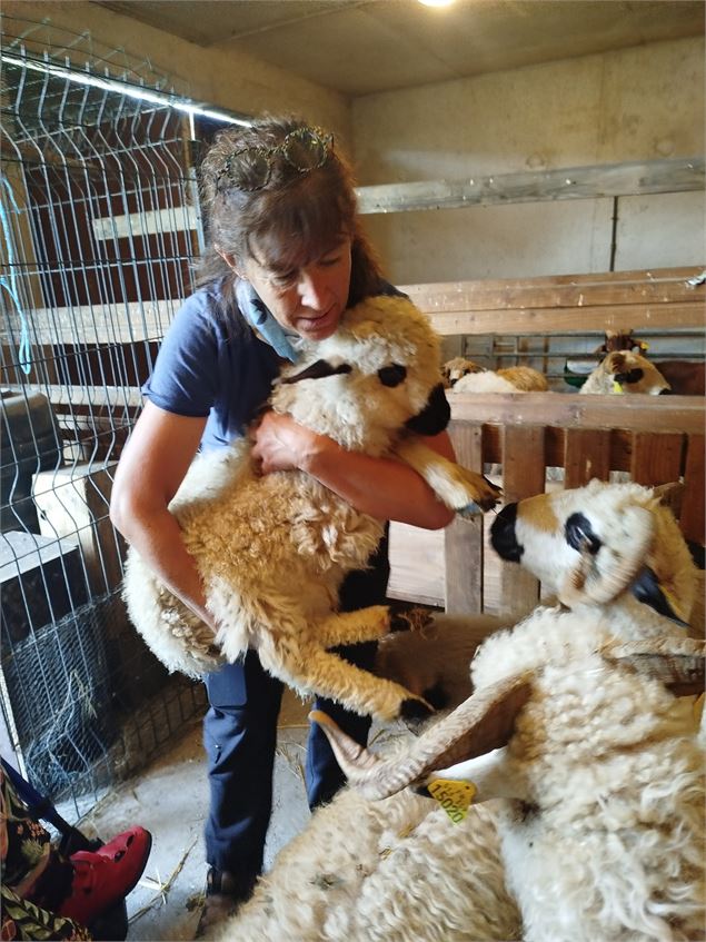 - Agence de voyage Poudre d'Escampette