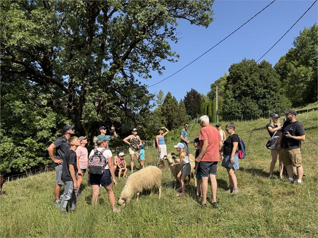 - Agence de voyage Poudre d'Escampette