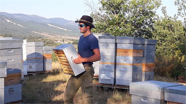 Apiculteur - Famille Berry