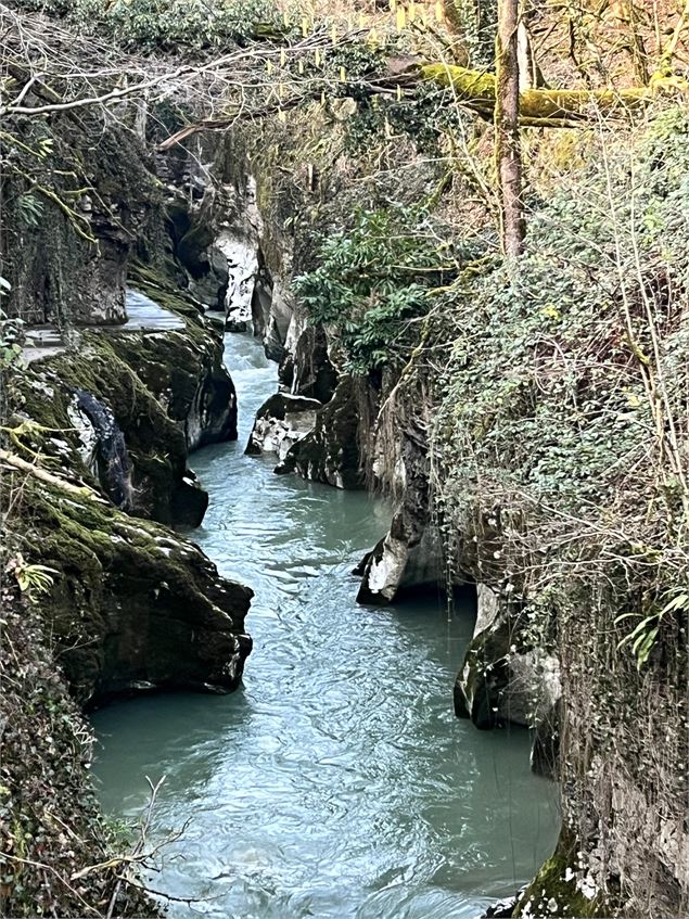 Gorges du Sierroz - Au Coeur des Gorges du Sierroz 