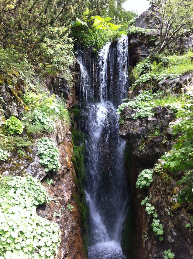 Visite guidée du Jardin botanique alpin La Jaÿsinia