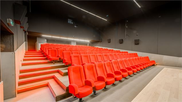 Cinéma Le Splendid à Val d'Isère - Under Antarctica