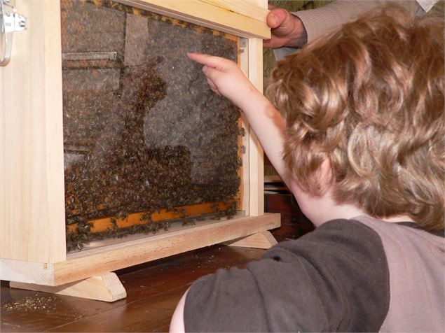 ruche vitrée - Bérangère Neufcoeur