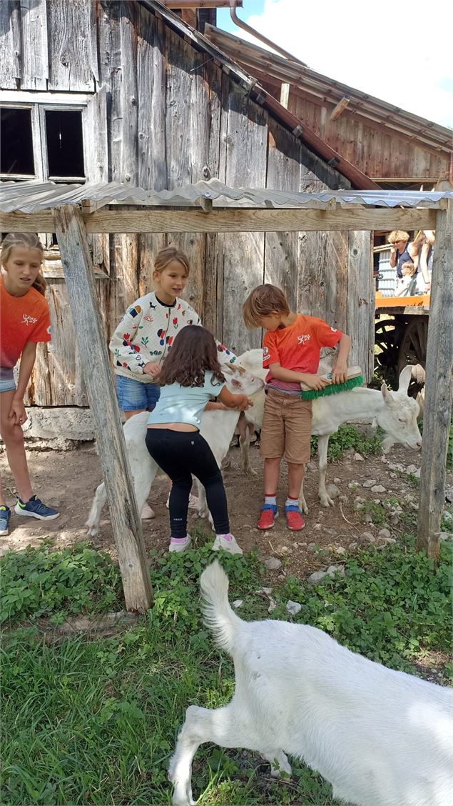Visite d'une chèvrerie : O² Briquettes_Arith - Emilie RAQUET