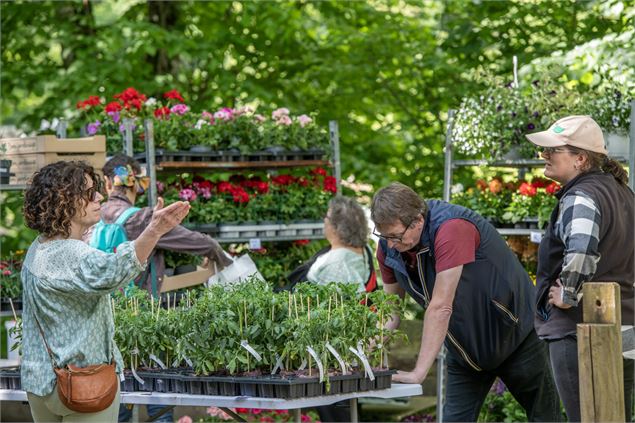 Photo du stand de vente de plantes - Philophoto