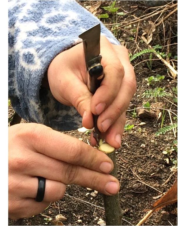 Les Artisans vous ouvrent leurs portes ! Visite de l'atelier de Fleurs de vie Chartreuse_Entremont-l