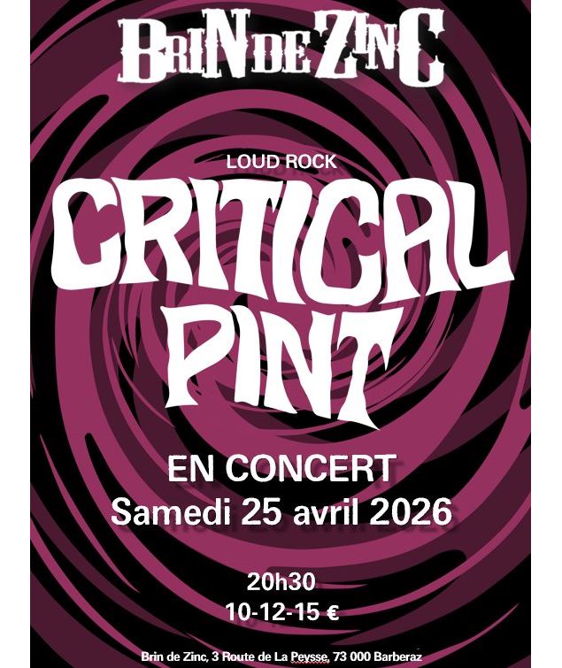 Affiche Brin de Zinc - RockSaone Festival