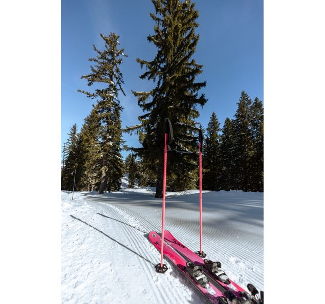 Parcours d'orientation sur les pistes à Samoëns_Samoëns - @Samoens