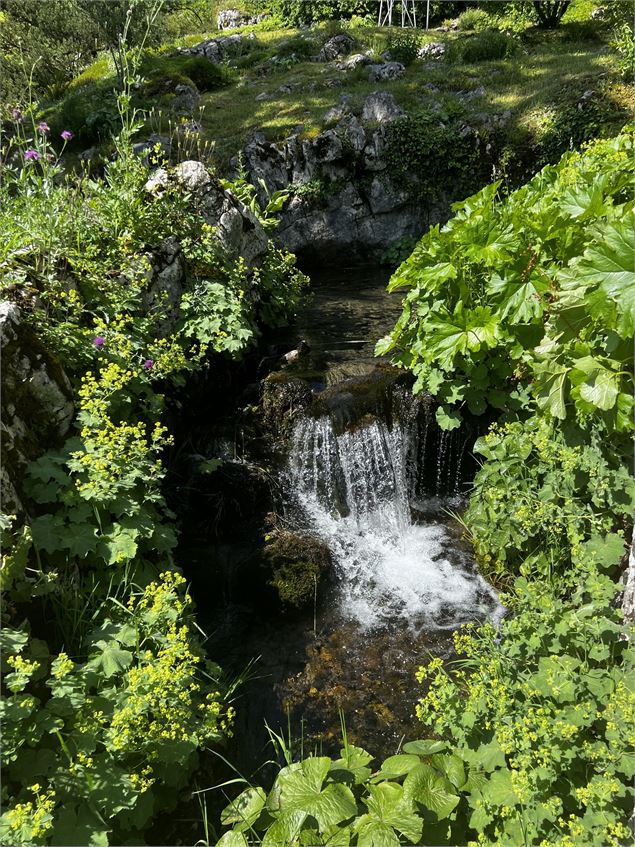 Jardin Botanique La Jaysinia - Visite Groupe - OTSamoens
