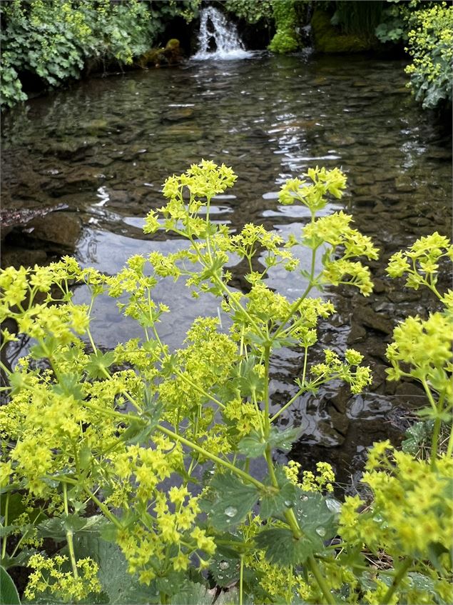 Jardin Botanique La Jaysinia - Visite Groupe - OTSamoens