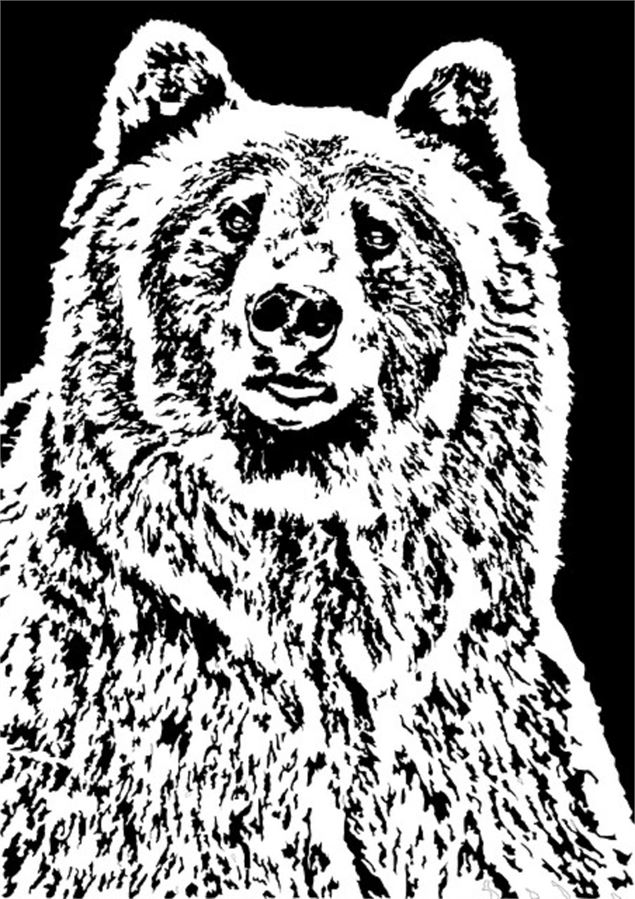 OURS BRUN - EPM