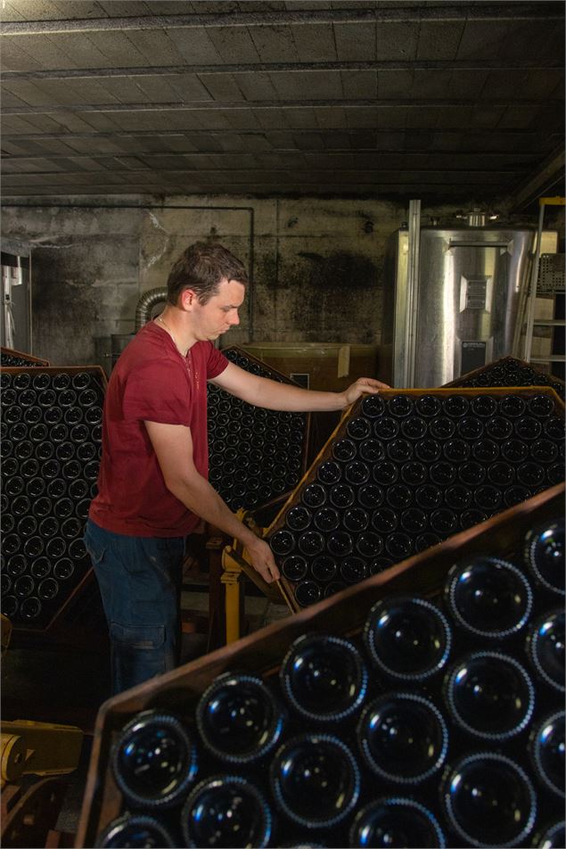 Les vins de la cave Peillot - Vincent Maistre Bazin / Plaine de l'Ain Tourisme
