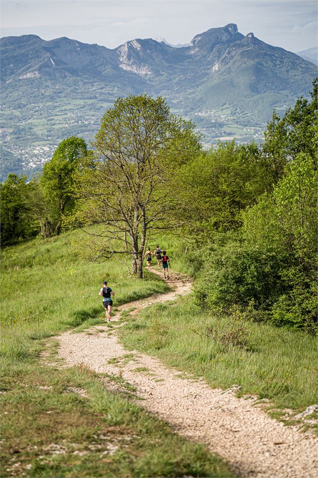 Trail Nivolet Revard - xavierwaerzeggers