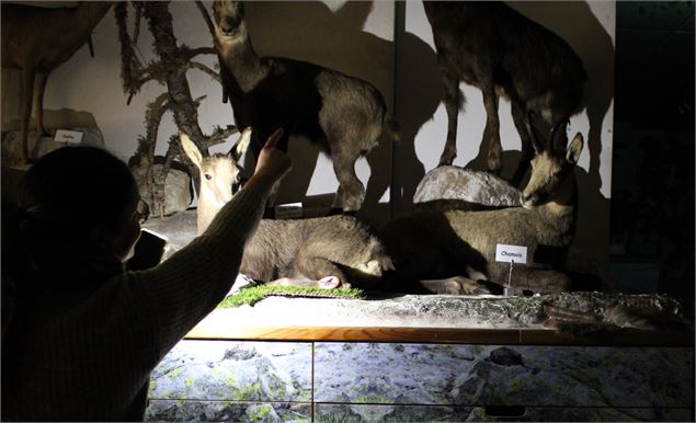 La Nuit des Musées_Bellevaux - Ministère de la Culture
