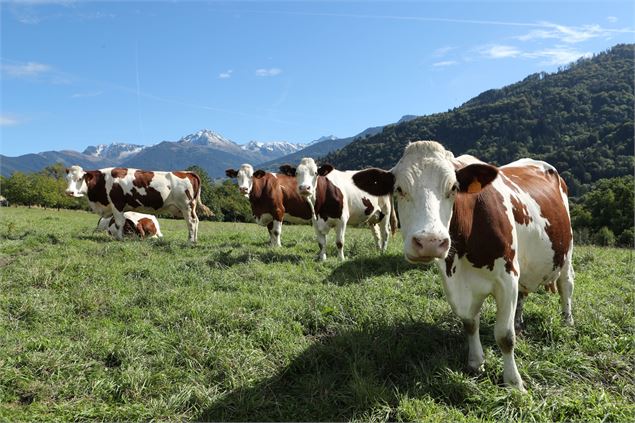 Bienvenue à la ferme, à la ferme des Valnoix_La Chapelle-Blanche