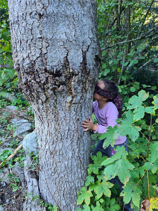Immersion sensorielle en forêt - Naturellement enfant - Emilie Lepage