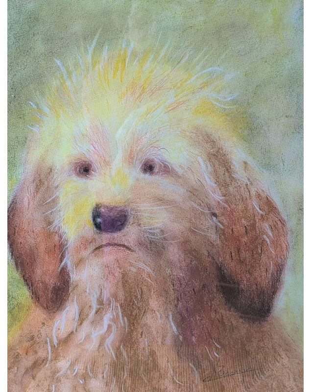 Exposition de peintures_Bâgé-le-Châtel - Arts éclosion