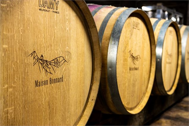 Le vin produit dans les vignes et vignobles de l'Ain - Vincent Maistre Bazin / Plaine de l'Ain Touri