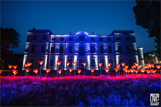 le château - Marine Perdrix