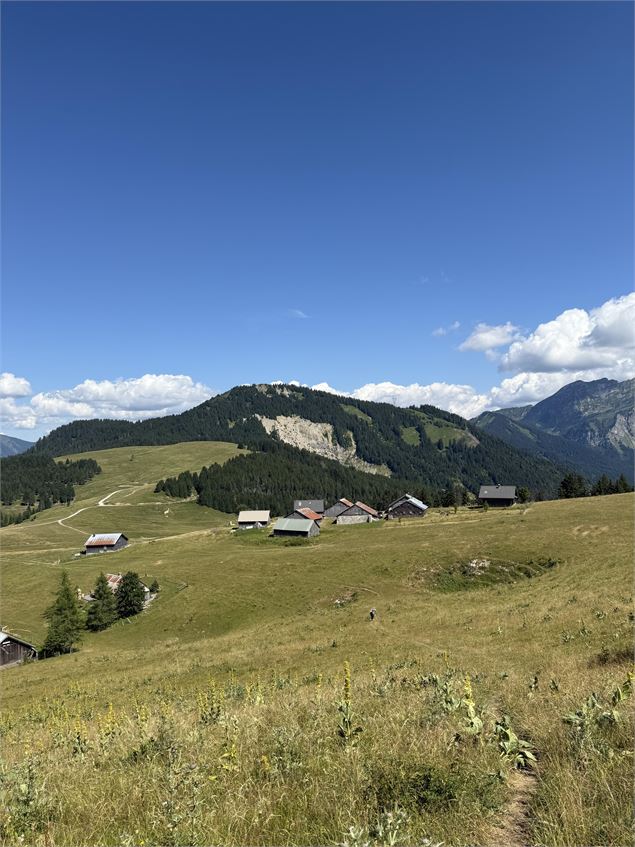 Vu de Tre le saix - OT Alpes du Léman