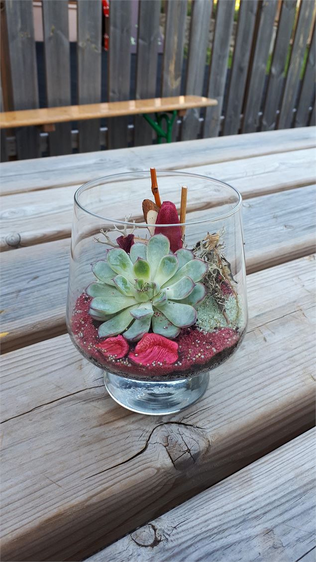 terrarium 3 - Office de tourisme