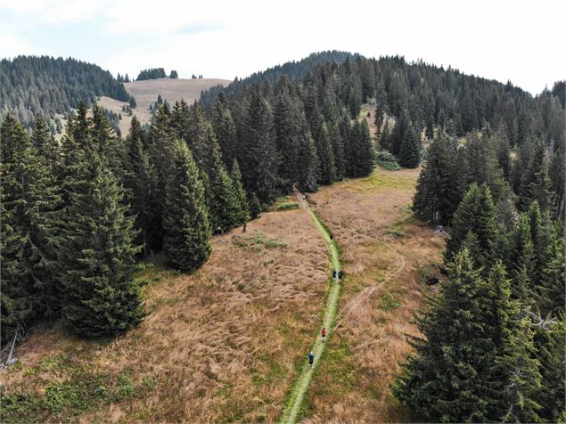 Trail de l'Aigle - OT Manigod / M.Sauvage
