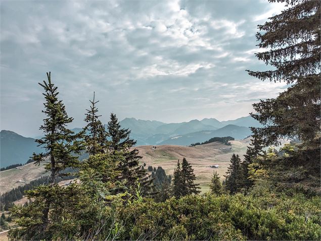 Trail de l'Aigle - OT Manigod / M.Sauvage